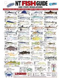 Afn Northern Territory Fish Id Card Nt