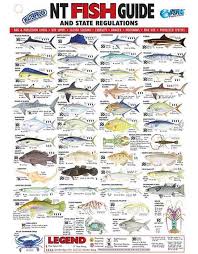 Afn Northern Territory Fish Id Card Nt