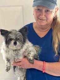 Coco Puff Finds Her Forever Home Through Harley's House of Dreams