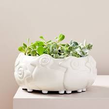 Did you scroll all this way to get facts about west elm planter ? Ceramic Flock Of Sheep Planter