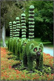 Novedadesx Pflanzen Formschnitt Garten Garten Pflanzen