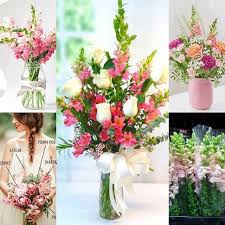 Check spelling or type a new query. Pin On Everything About Flowers