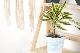 13 tiers of black or white metal allow your plant pots to bask indoors or outdoors. 101 Best Plant Stands For Indoors And Outdoors In 2021