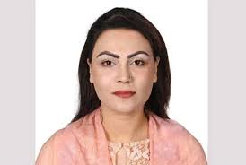 From the Panama Papers to Begumpara