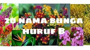 We did not find results for: 20 Nama Bunga Yang Berawal Dari Huruf B Youtube