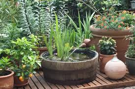 Tipps Gegen Algen Im Mini Teich Miniteich Bepflanzung Miniaturgarten
