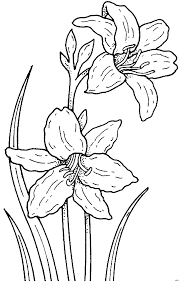 Check spelling or type a new query. Window Color Malvorlagen Orchideen Coloring And Malvorlagan