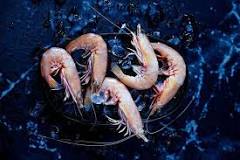 What is the best tasting prawn?
