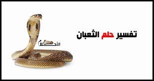 .رؤية الافعى في المنام الحيّة في الحلم للنابلسي وإبن سيرين , تفسير مشاهدة افعى او حية في الحية هي في المنام عدو أو كنز أو إمرأة أو ولد، والثعبان إذا لم يخف منه الرجل دل على قوية فإن البغي يرجع على العدو إلا أن يكون مع ذلك لدغ أو سم، فإن العمل أقوى من القول. ØªÙØ³ÙŠØ± Ø­Ù„Ù… Ø§Ù„Ø«Ø¹Ø¨Ø§Ù† Ø¨Ø£Ù„ÙˆØ§Ù†Ù‡ ÙÙŠ Ø§Ù„Ù…Ù†Ø§Ù… Ù„Ø§Ø¨Ù† Ø³ÙŠØ±ÙŠÙ† Ø§Ù„ØªÙØ³ÙŠØ±Ø§Øª Ø§Ù„Ø´Ø§Ø¦Ø¹Ø© ÙÙŠ Ø§Ù„Ø§Ø­Ù„Ø§Ù…
