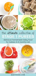 4 Month Baby Food Recipes Stage 1 Purees Baby Foode Baby Food Recipes Baby Puree Recipes Organic Baby Food