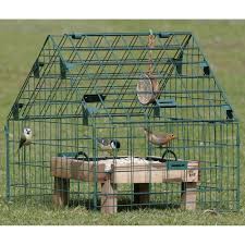 Caged Bird Feeders For Small Birds Uk Adjustable Ground Feeding Sanctuary This Is Awesome For Protection From Predators Ground Bird Feeder Bird Feeding Station Squirrel Proof Bird Feeders