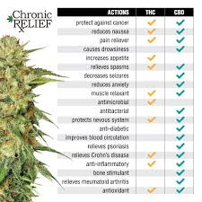 Cbd Or Thc Thc Vs Cbd Which Marijuana Compound Is More