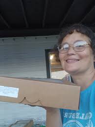 Homemade pie and cookie sale in Galesburg