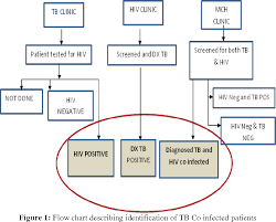Figure 1 From Tuberculosis Treatment Outcomes Of Patients Co