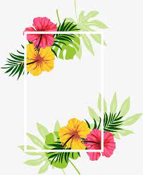 Beautifully Decorated Beautiful Floral Frame Photoshop Wallpapers Beautiful Abstract Art Flower Frame