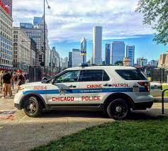 Chicago Il Police Canine Patrol 8284 Ford Interceptor Utility Police Cars Police Dept Police