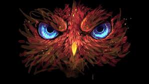 Owl 1080p 2k 4k 5k Hd Wallpapers Free Download Wallpaper Flare A collection of the top 72 owl wallpapers and backgrounds available for download for free.