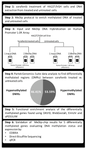 Sorafenib Induces Variations Of The Dna Methylome In Ha22t