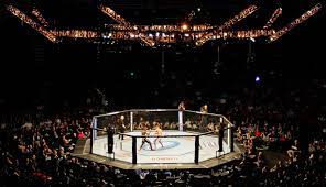 Viewers are captivated by the raw and unhinged fighting that occurred in ufc (the most popular mma league) fights, and they want a piece of the action. Mixed Martial Arts Britannica