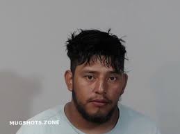 OMAR MARTINEZ NELSON AMAYA 05/04/2025