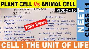 Maybe you would like to learn more about one of these? Differences Between Plant Cell And Animal Cell In Hindi Tricks Ncert Class 11 Neet 2021 Youtube