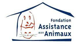 On ne plaisante pas avec les animaux virtuels. Les Grandes Associations Ensemble Pour Les Animaux