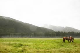 Can You Horseback Ride In The Rain