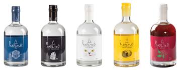 Among the most popular are gins from spain, south asia, and beyond. Vanguard Luxury Brands Archives Australianbartender Com Au