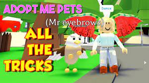 The adopt me griffin code is offered in this article to work with. Adopt Me Pets Griffin Fully Maxed All The Tricks Youtube