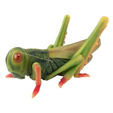Check spelling or type a new query. Design Toscano 5 In H Ricochet The Grasshopper Statue Jq7702 The Home Depot