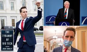 The more people were exposed to him, the more they wanted to hit him in the face with a pie. The Rise And Fall Of Missouri Republican Senator Josh Hawley Daily Mail Online