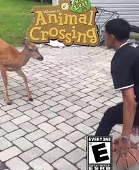 Ea Sports Is Overrated This Is Real Basketball Animal Crossing Animal Crossing Memes Funny Memes