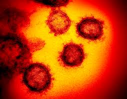 Today, 502 new cases of the virus have been identified. Three New Covid 19 Cases In Manitoba