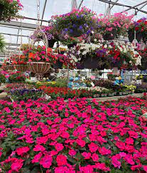 Maybe you would like to learn more about one of these? Robin S Flower Gardens Home Facebook