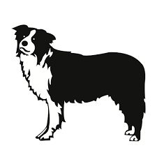 Free Svg File Download Border Collie Dog Beaoriginal Blog Border Collie Dog Dog Outline Collie Dog