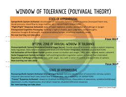 Window Of Tolerance Polyvagal Theory