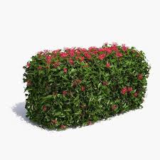 Jungle Geranium Hedge Flowering 3d Model Trees To Plant Geraniums Small Garden Shrubs