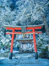 鳥居が好きです 鳥居 神社 美しい風景写真