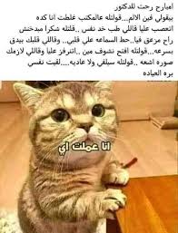 pin by mourched on أغراض تستحق الشراء in 2021 cats animals