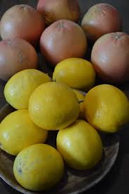 Ortamın isısı çok önemli dikkat etmeniz gereken en önemli husus limonunuzu ısı yayan peteklerden uzak tutmaktır. Saksida Limon Agaci Nasil Yetistirilir Yesil Parmak