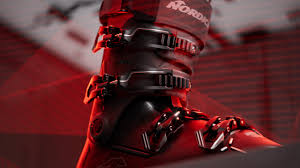 Image result for Verde Boreale 2008 147