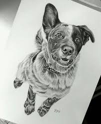 Black And White Blue Heeler Dogs Blue Heeler Dog Tattoo Pet Portraits Animal Illustration