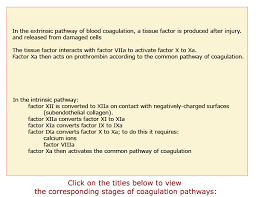 blood laboratory hemostasis pt and ptt tests