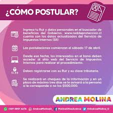 Bono de $500 mil para clase media (rut y clave sii). Jygeymun5pmj M