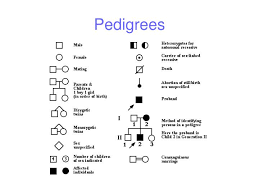 Ppt Pedigrees Powerpoint Presentation Free Download Id