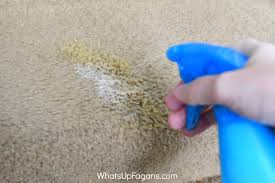 How to get rid of carpet stains, stain removal. Remove Poop Stains And Smells From Carpets With This Diy Solution