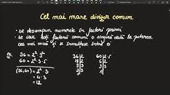 Sunt sigură că cine va încerca să folosească această platformă pentru a învața. Invata Matematica Usor Youtube