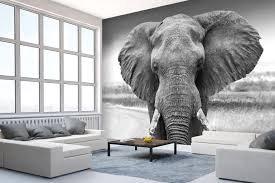Alles schön schwarz weiß gehalten. Wandmotiv24 Fototapete Elefant Schwarz Weiss Fototapeten Tapete Wandbild Tier Afrika Himmel M6541 Tiere Fototapeten Gunstig Kaufen
