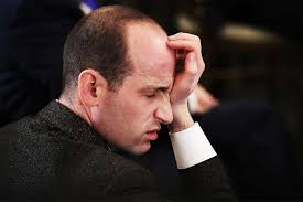 We all remember that time when carlos boozer, then a member of the chicago bulls, showed up to a february 2012 nationally. Stephen Miller S Spray On Hair Is Just A Natural By Product Of Working For Donald Trump Vanity Fair