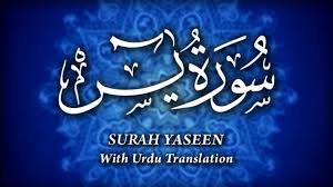 Surah ini termasuk dalam golongan surah makiyah, artinya diturunkan di makkah. Surah Yaseen Bama Urdu Tarjuma Yaseen ÙØ³ Recitation Of Holy Quran Souful Qirat Of Surah Yaseen Youtube
